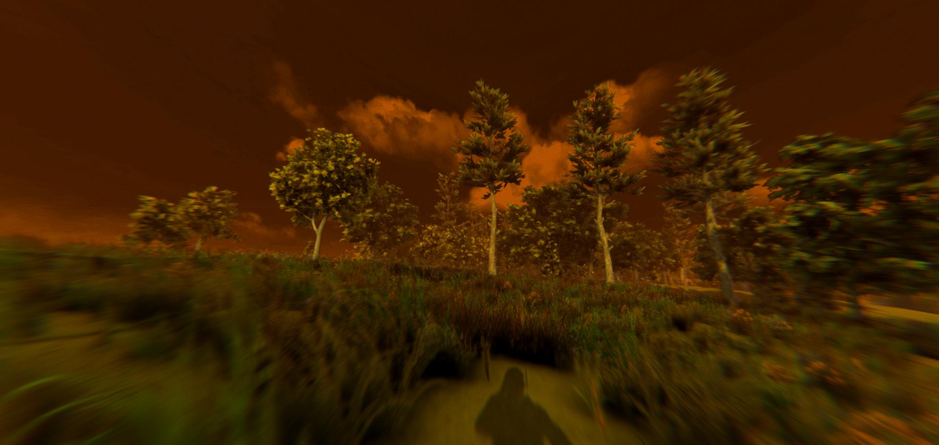 ESCAPE FROM VOYNA: Dead Forest screenshot