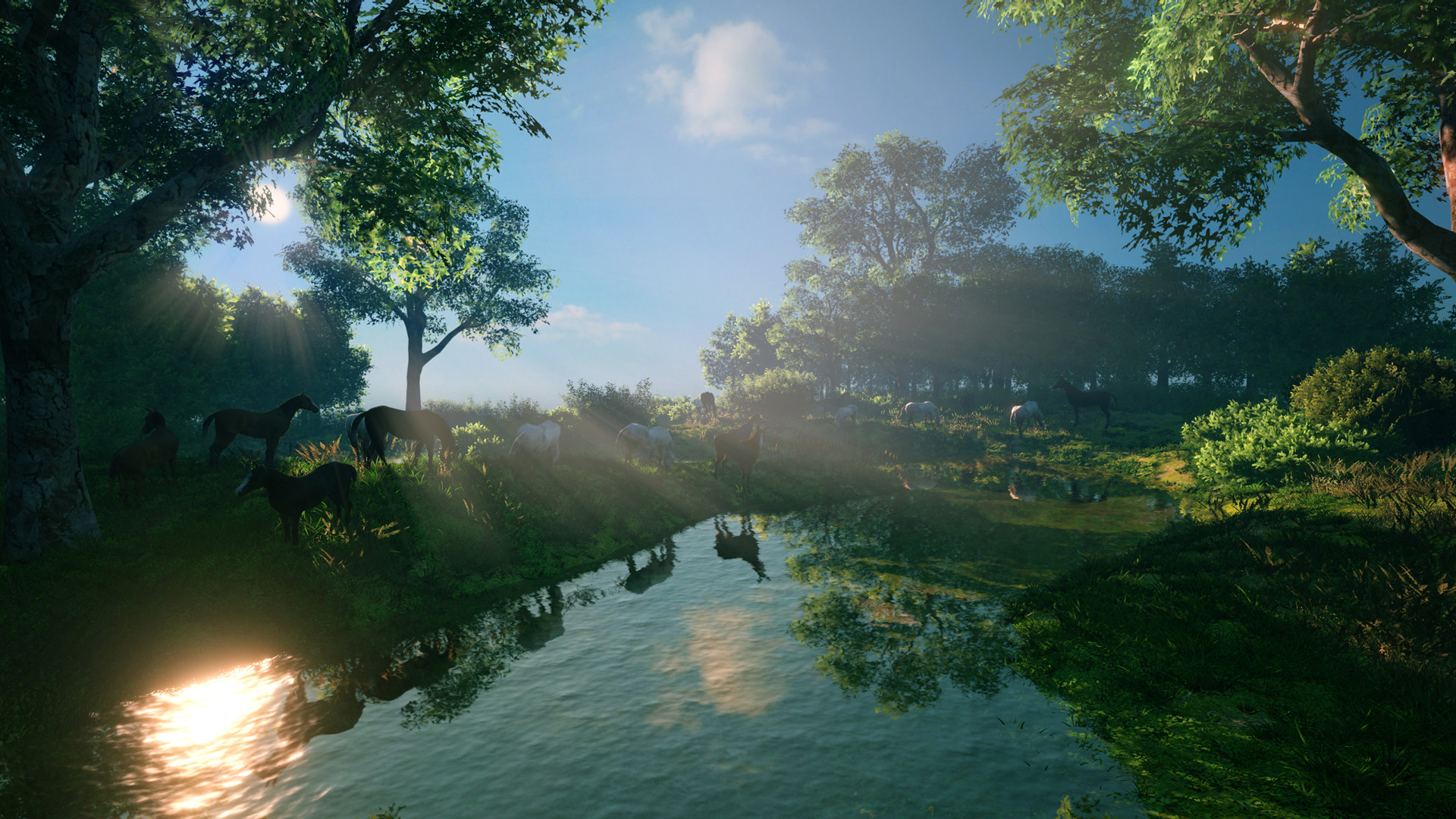 FlowScape screenshot