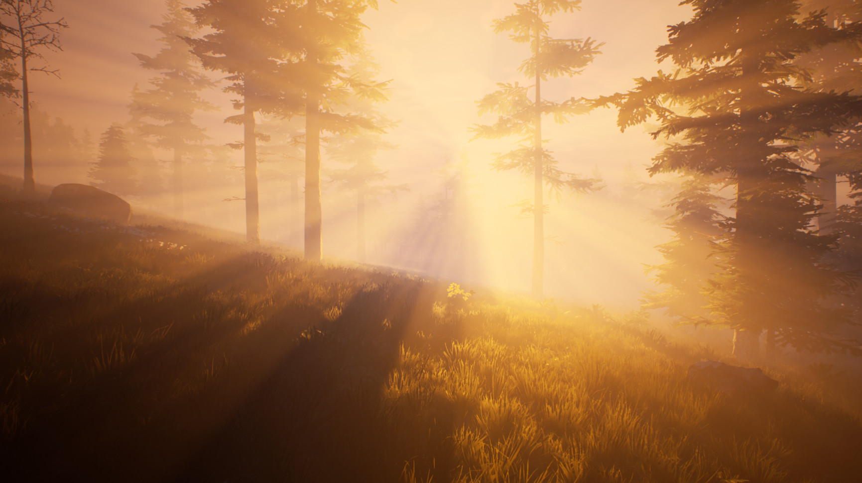 Fallen Region screenshot