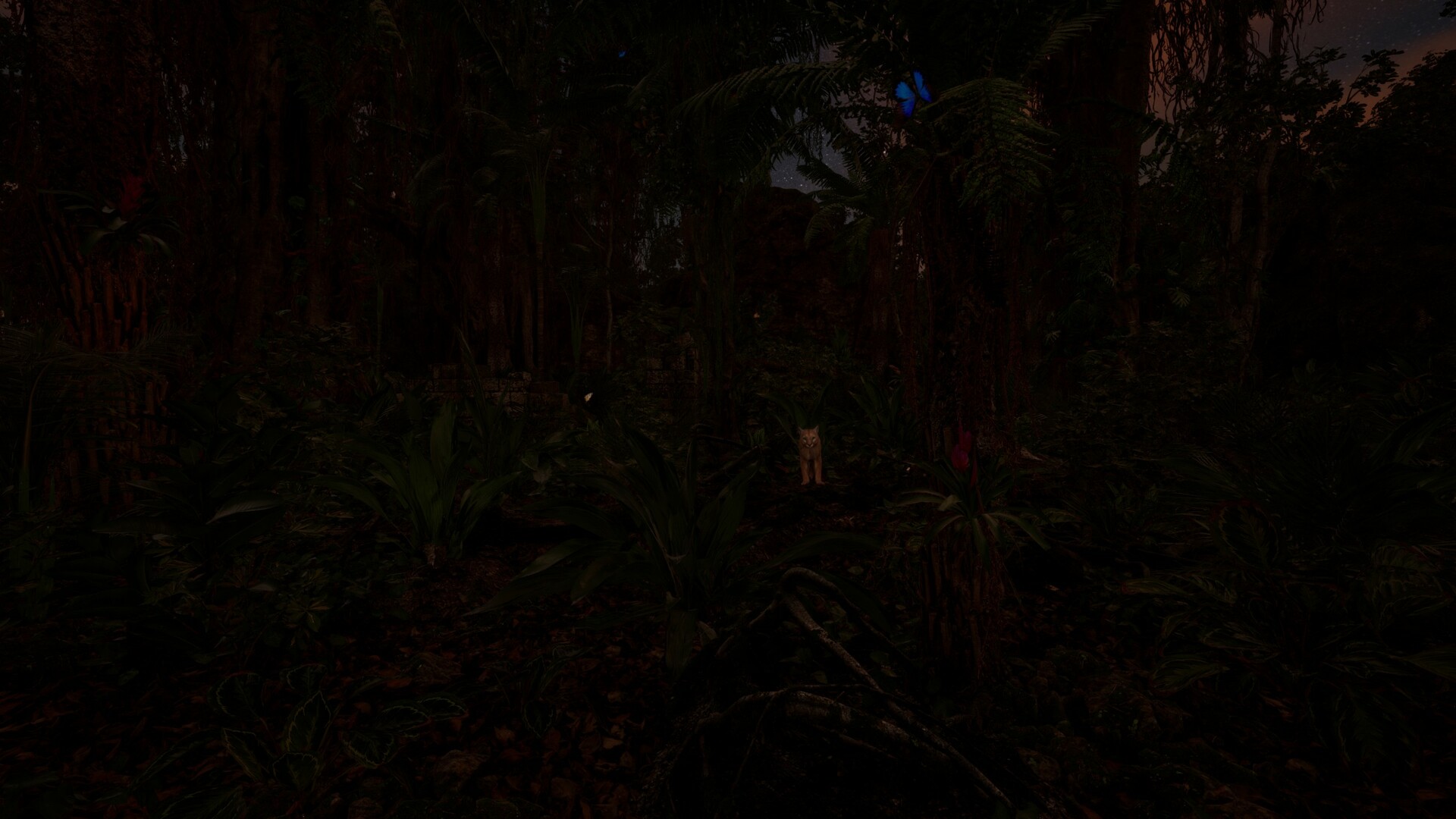 WAIDH screenshot