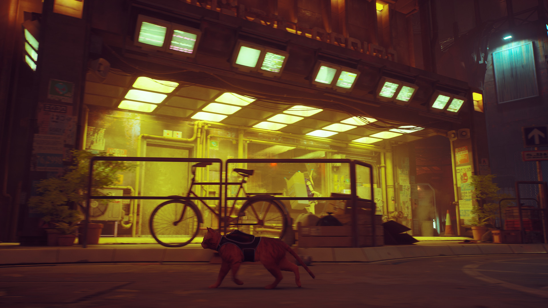 Stray screenshot