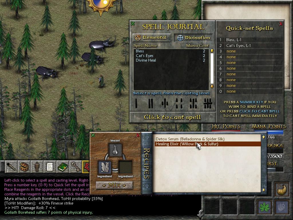 Eschalon: Book II screenshot
