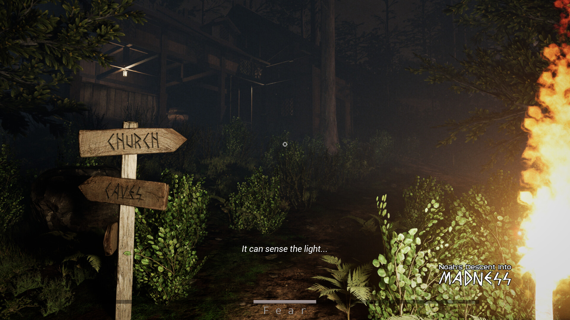 Noah's Descent into Madness screenshot