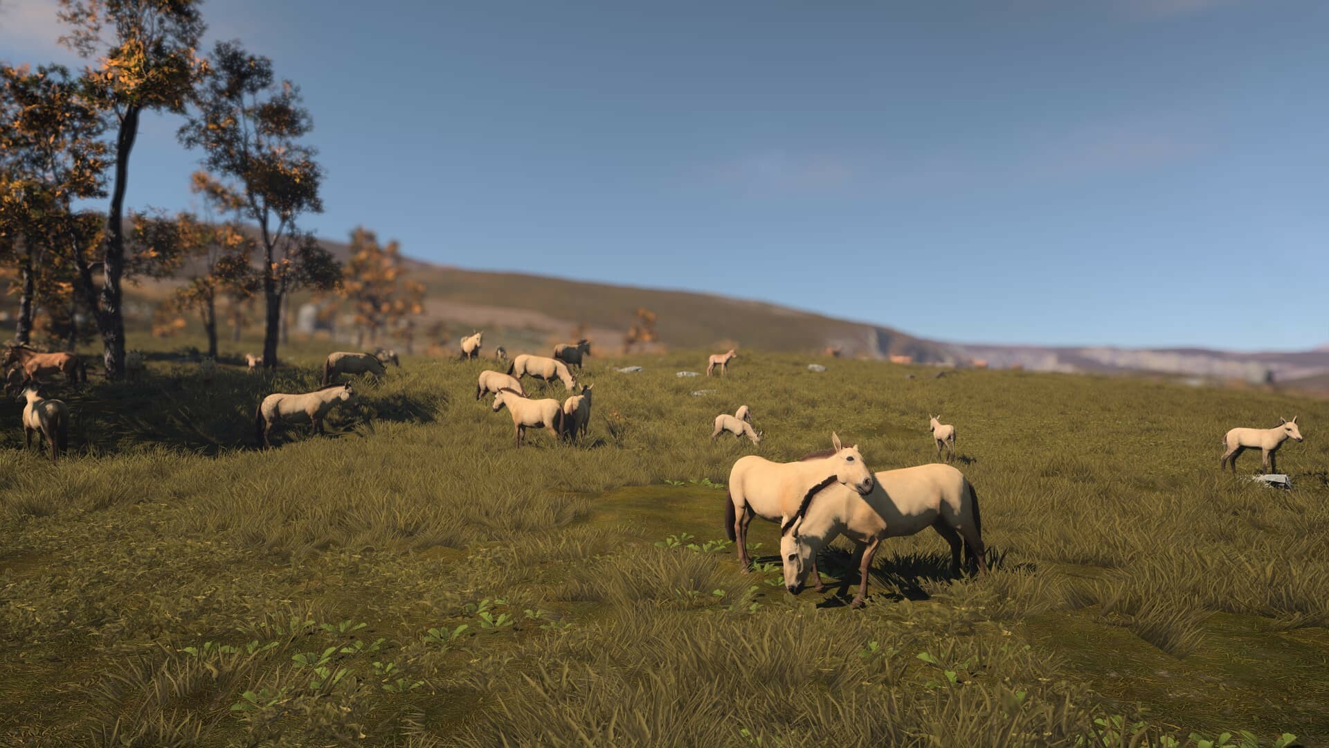 Ancient Cities screenshot