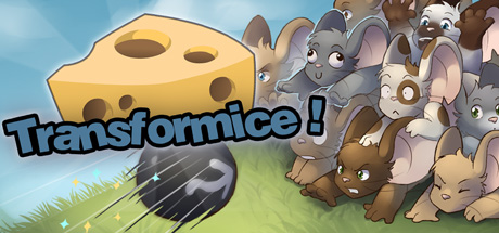 Transformice key art