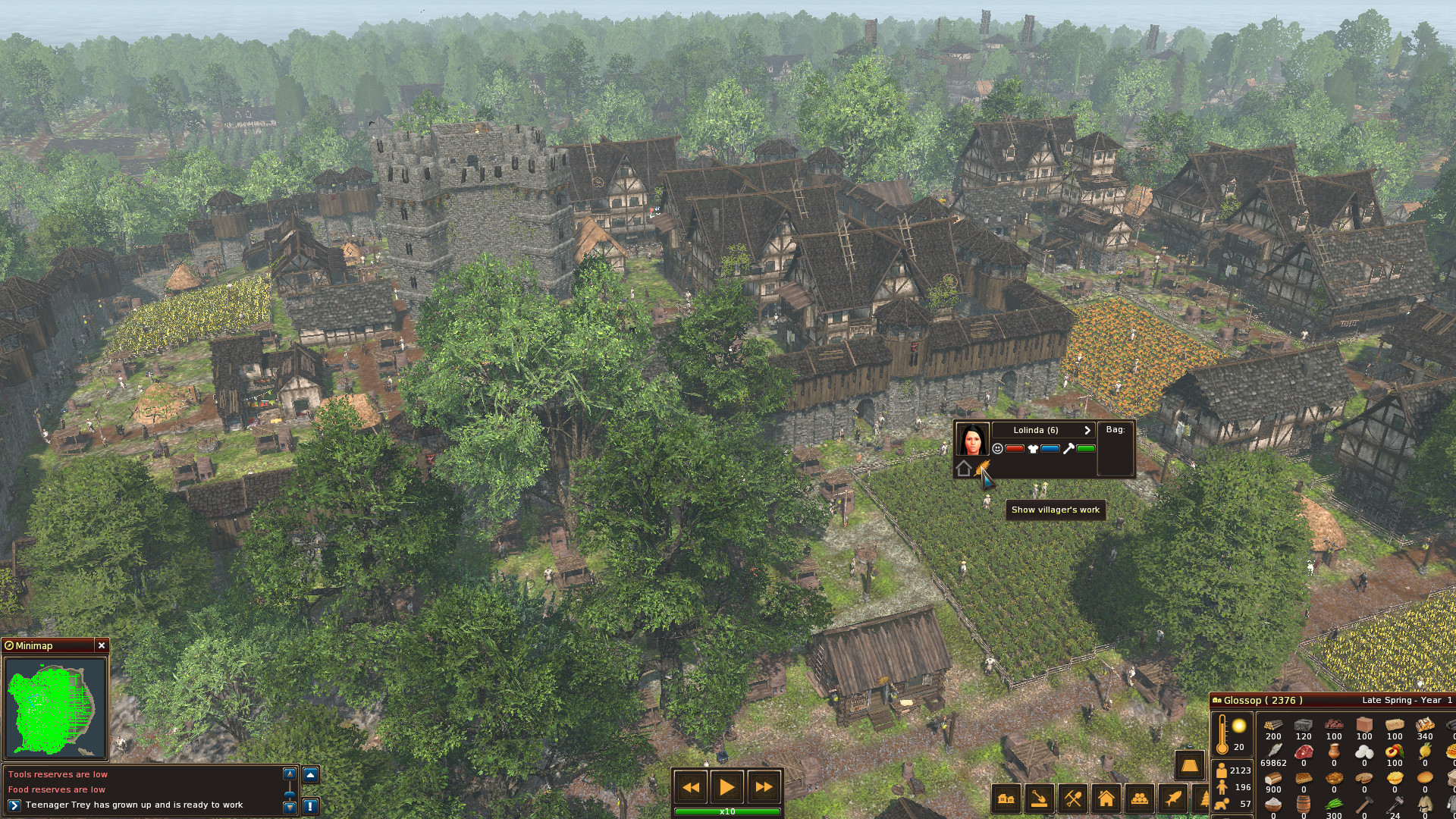 Life is Feudal: Forest Village screenshot