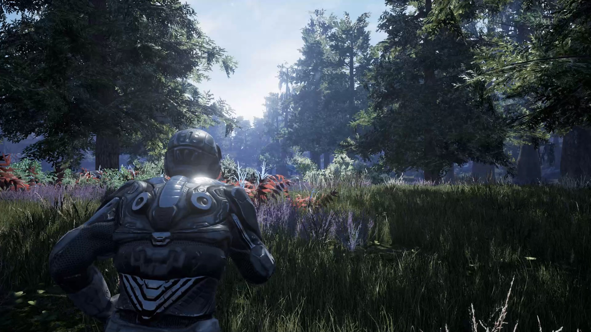 Fragmented screenshot