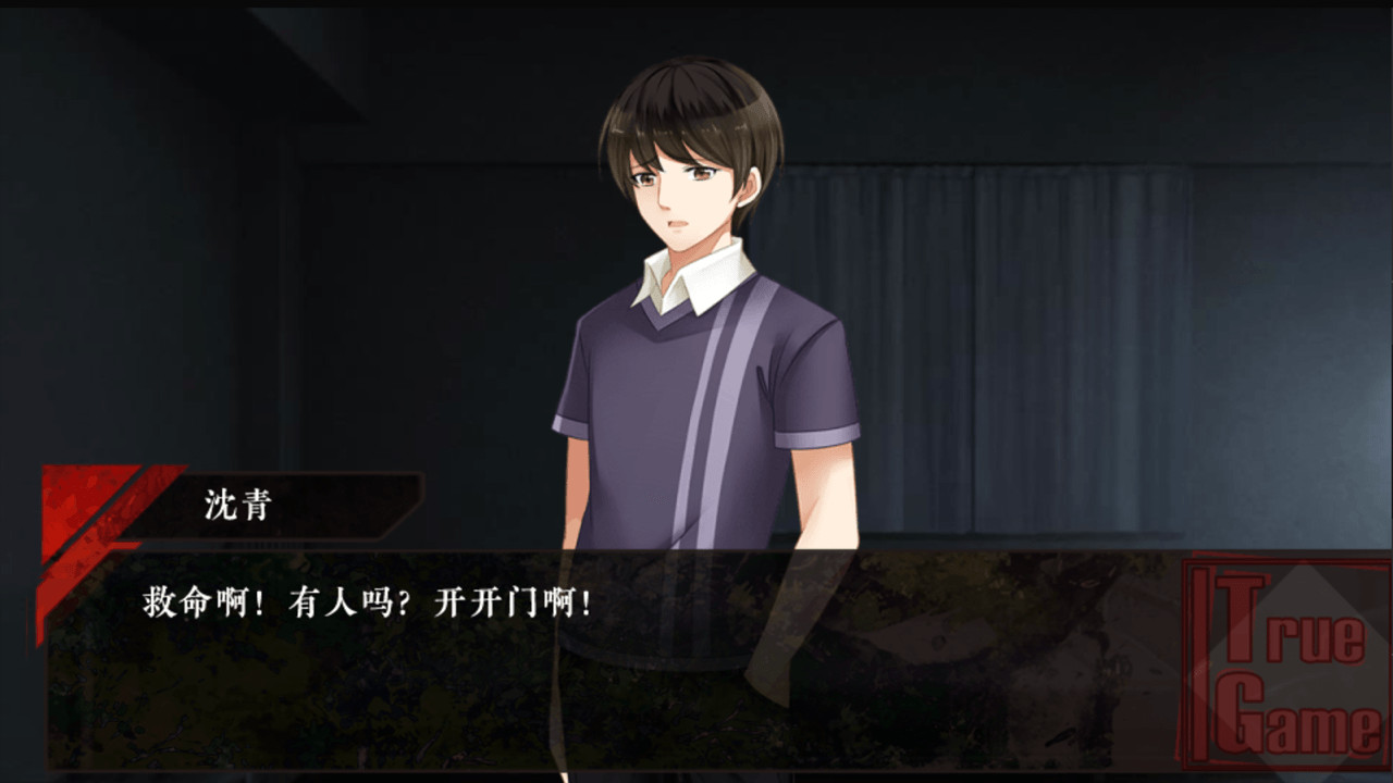 True Game screenshot