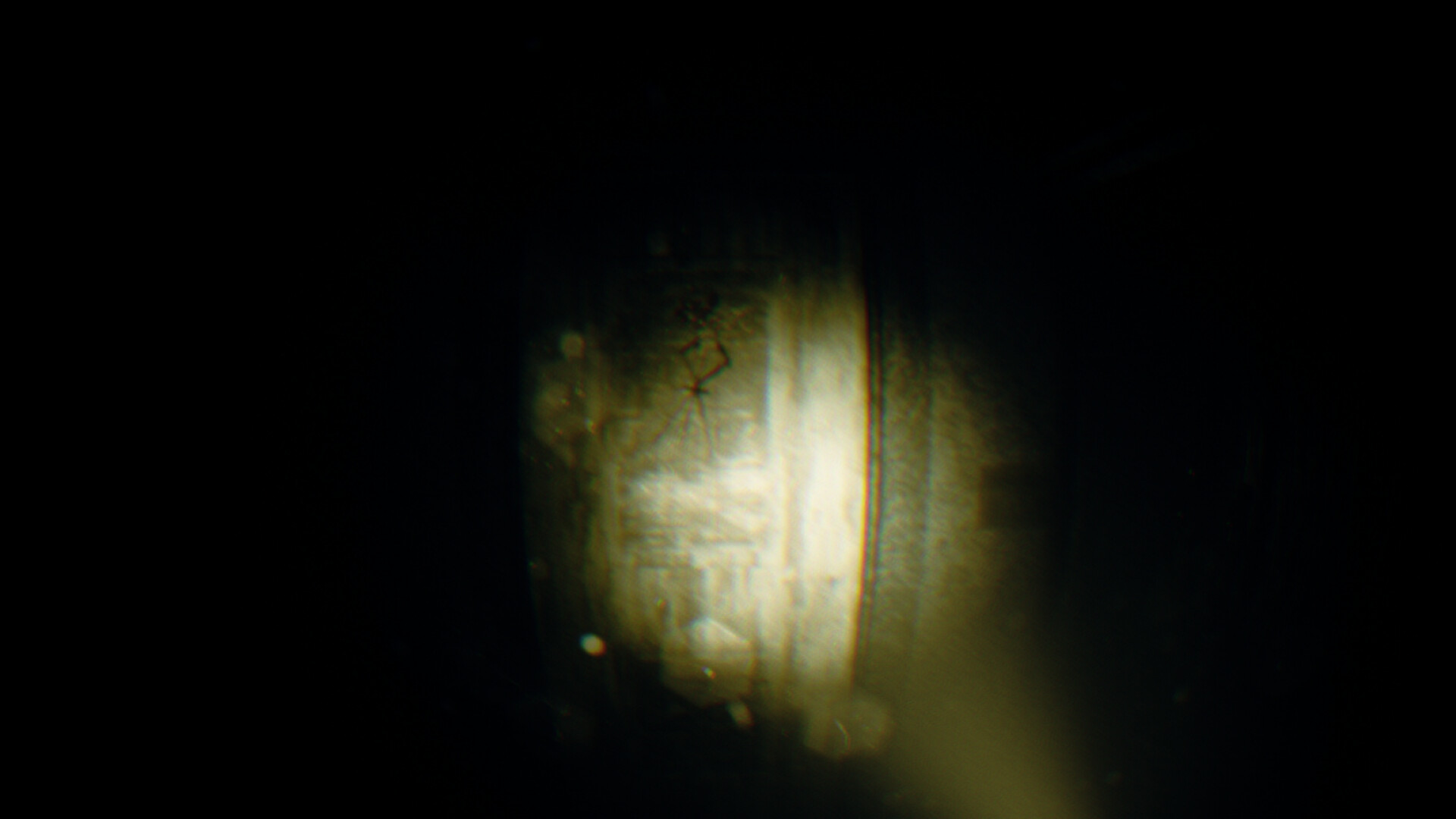 REC: Beyond The Lens screenshot