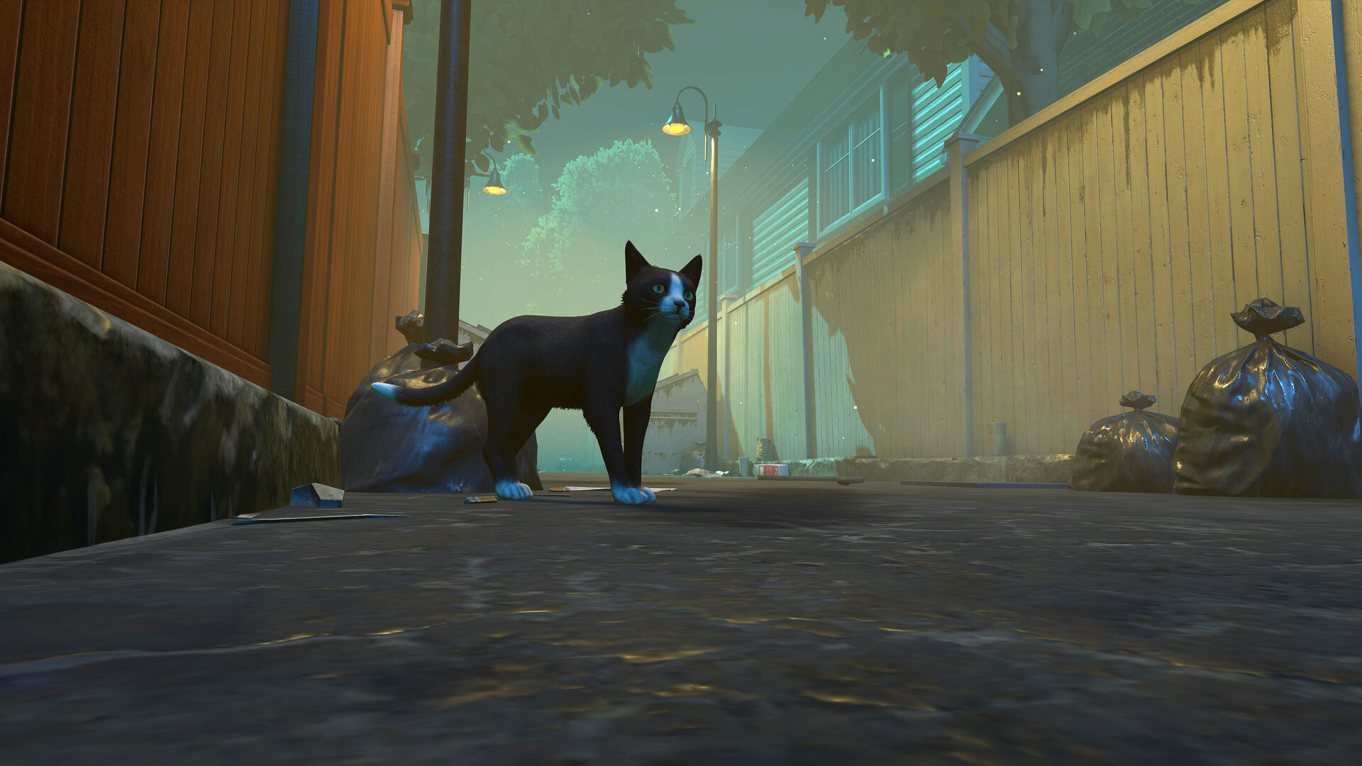 Copycat screenshot