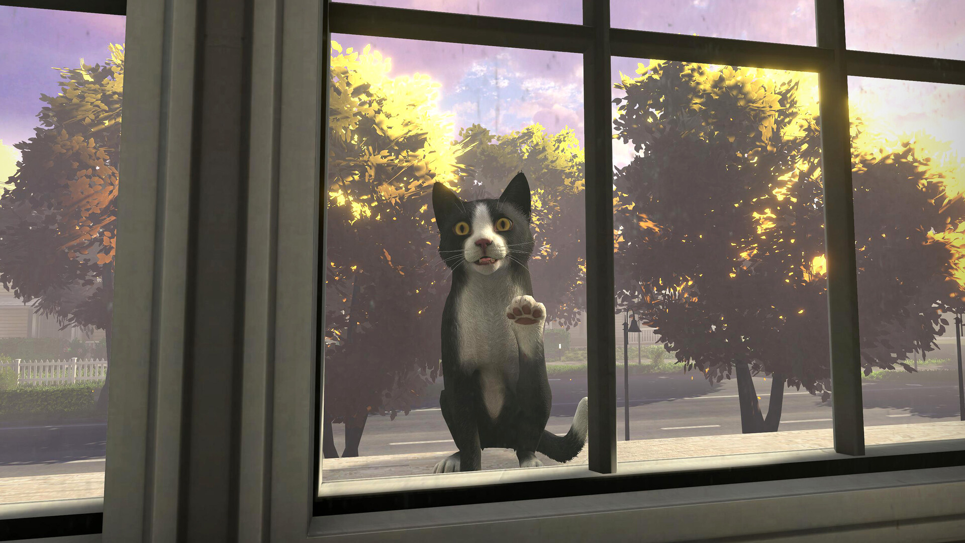 Copycat screenshot