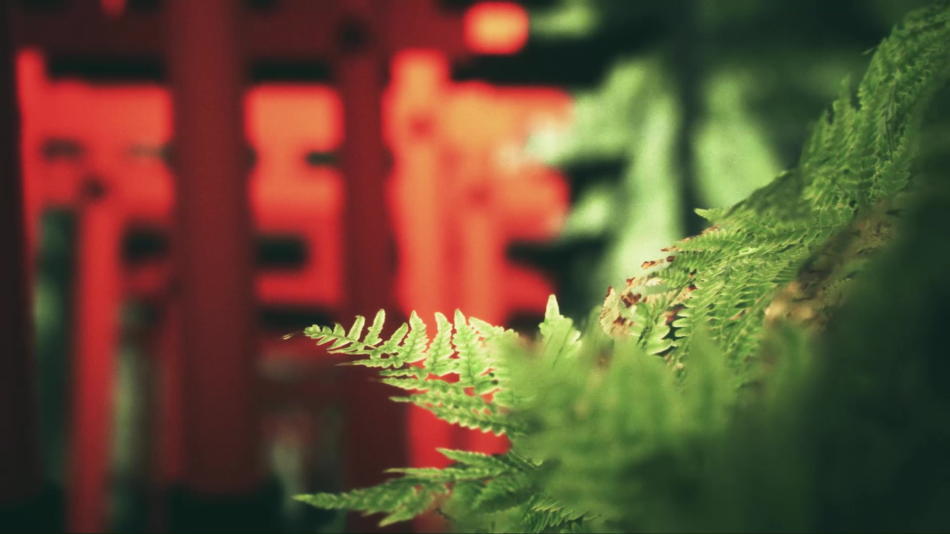 Explore Fushimi Inari screenshot