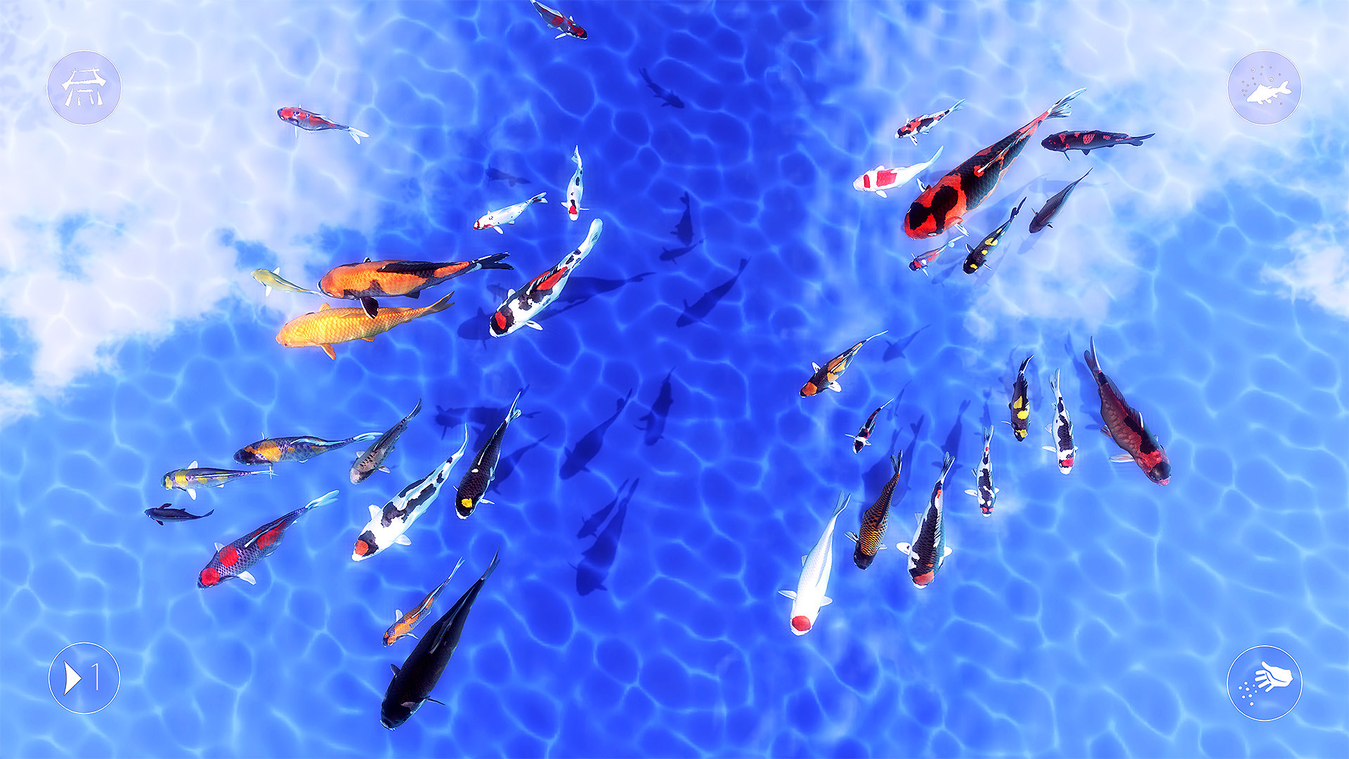 My Koi screenshot
