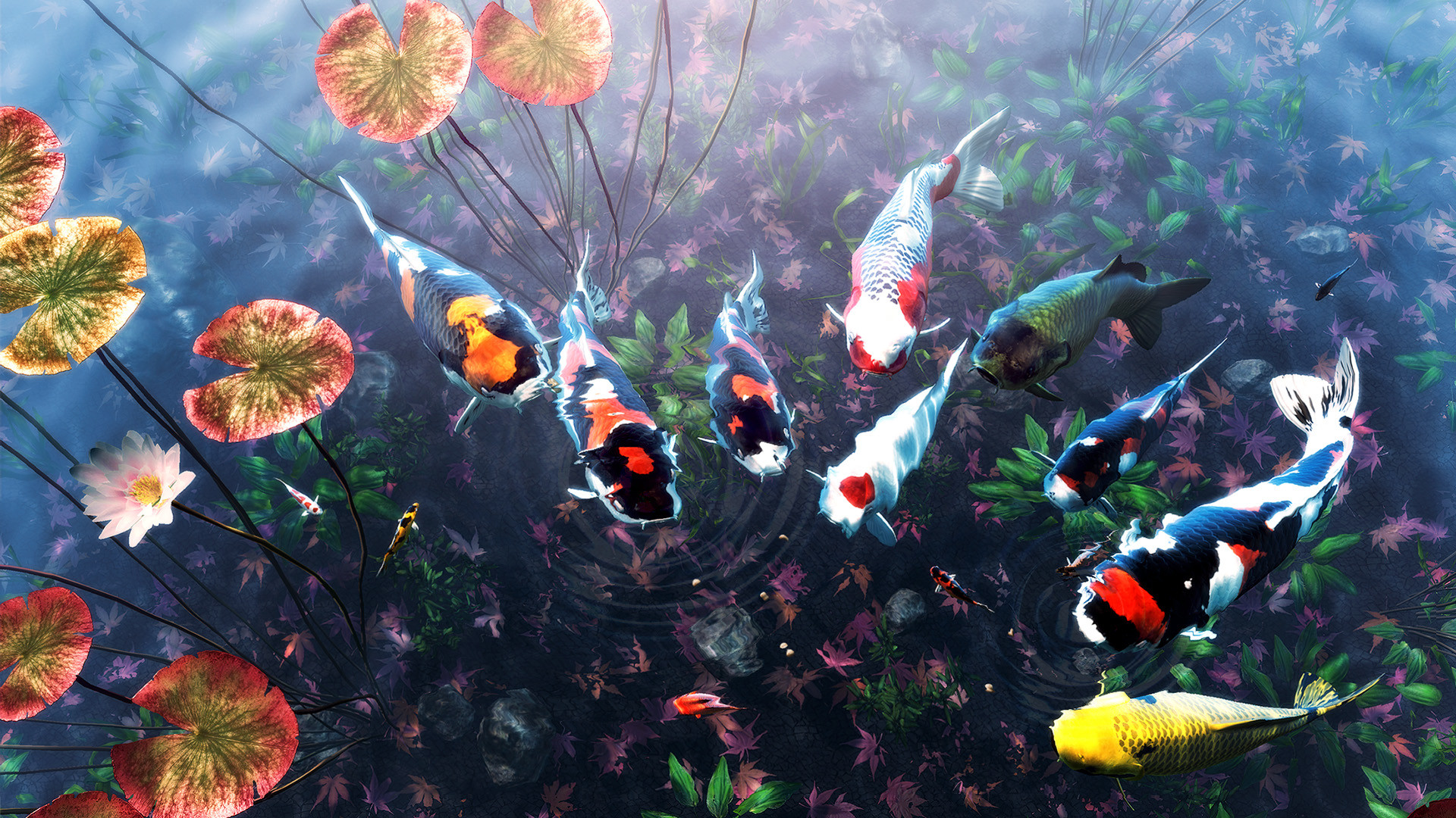 My Koi screenshot