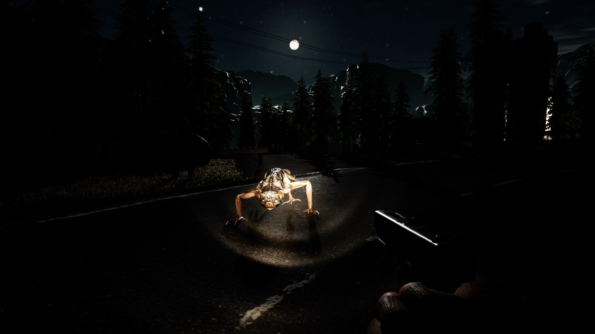 Anarchy: Wolf's law screenshot