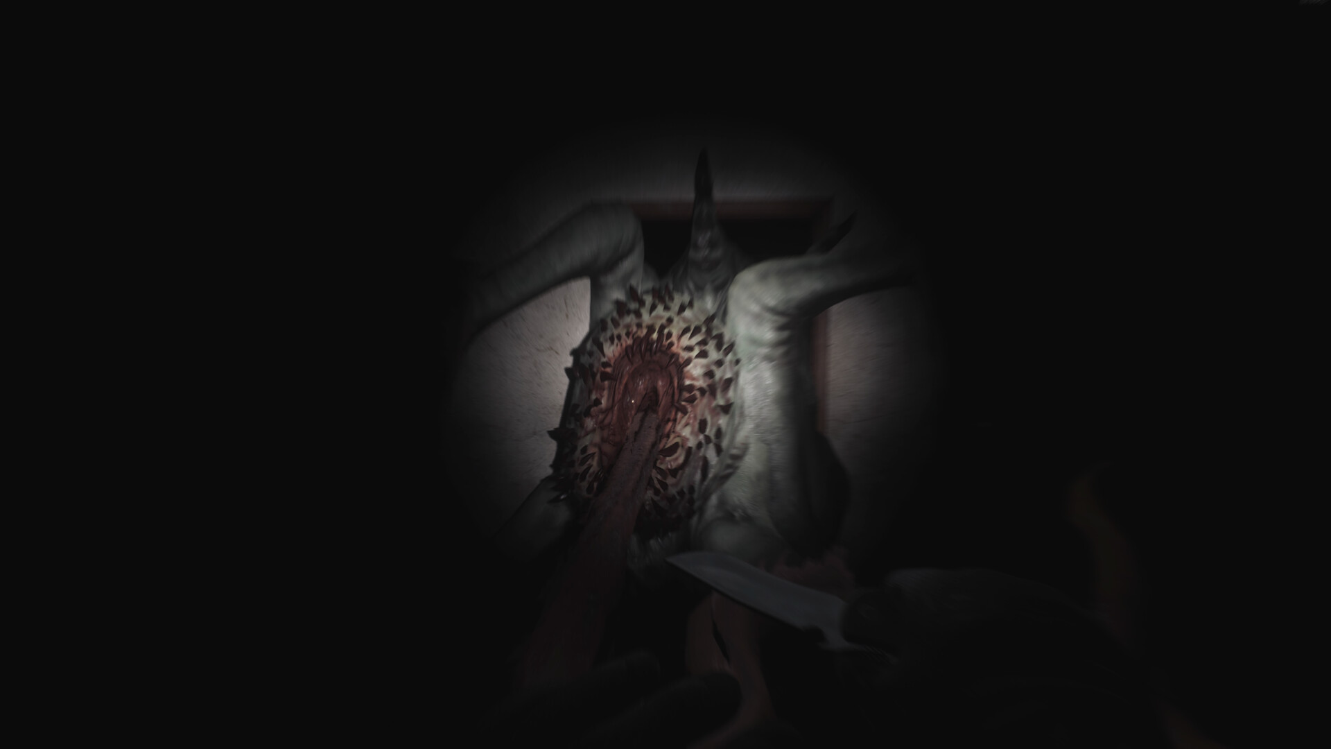 SCP: 5K screenshot
