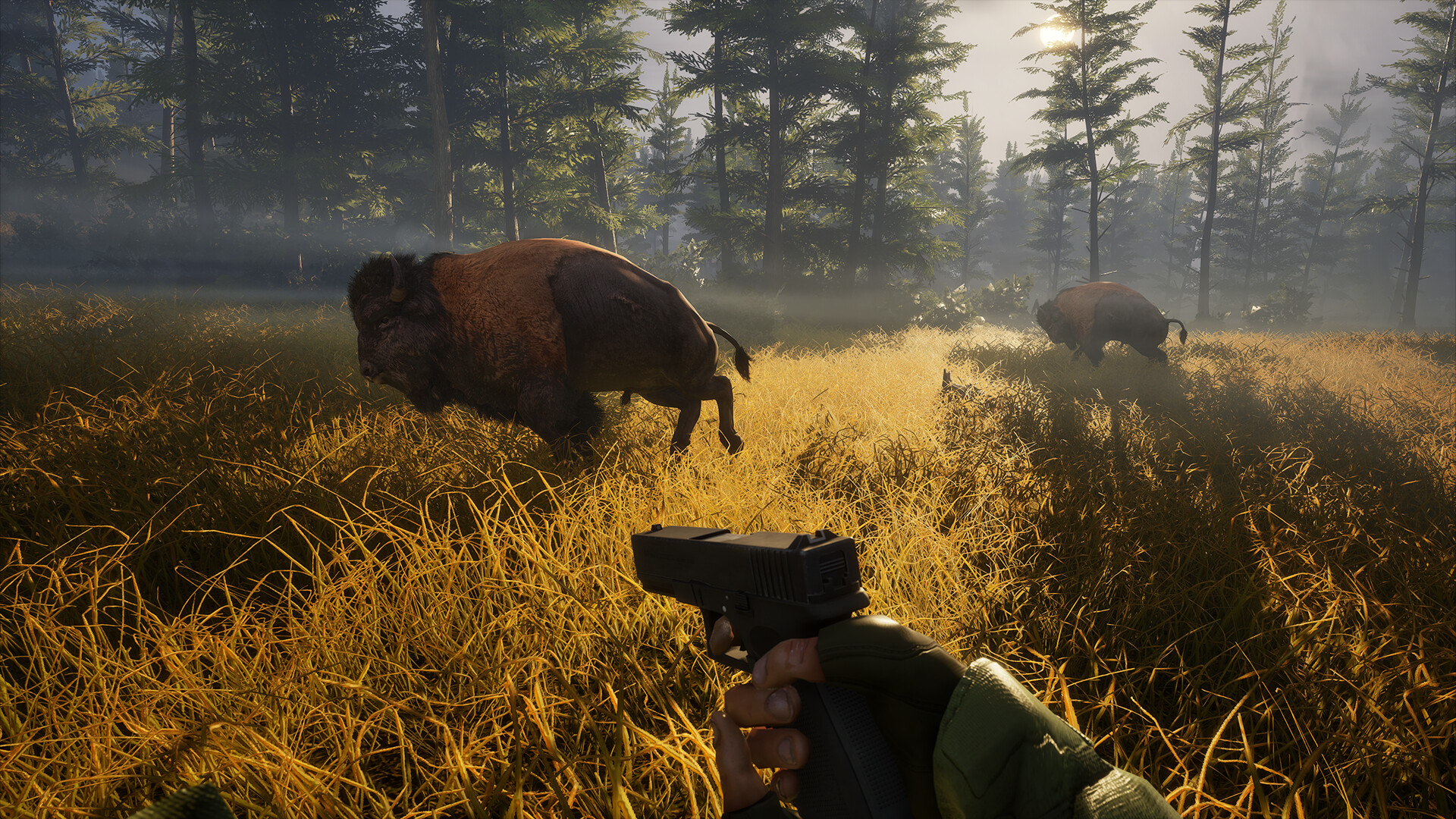 BIGFOOT screenshot