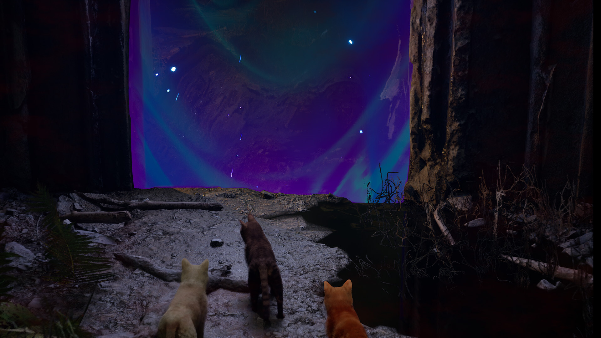Meowmories screenshot