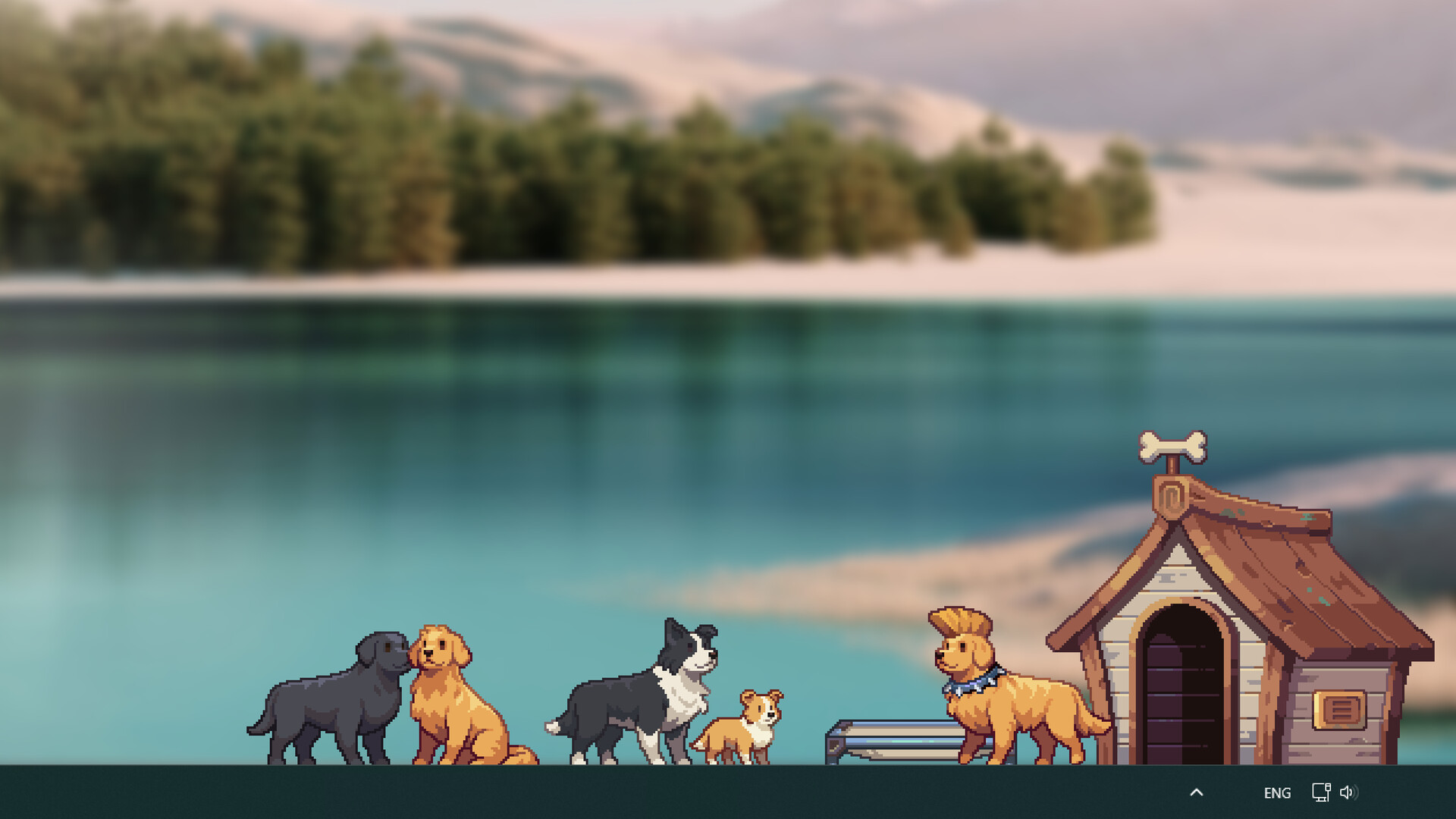Dog screenshot