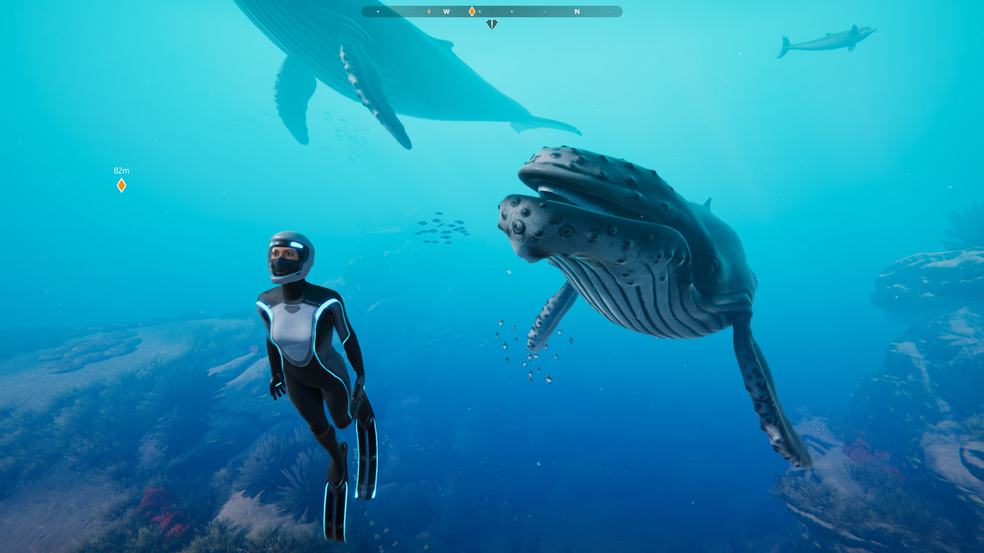 Beyond Blue screenshot