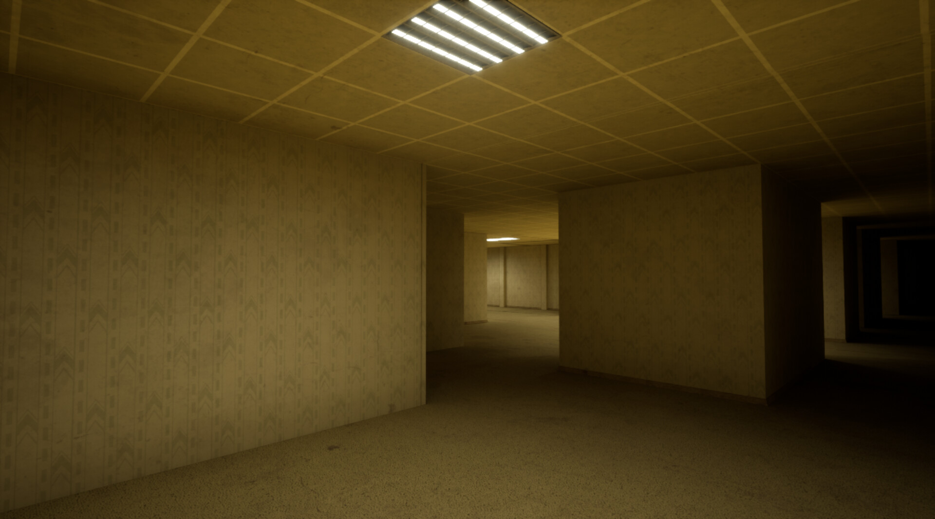 The Backrooms Deluxe screenshot