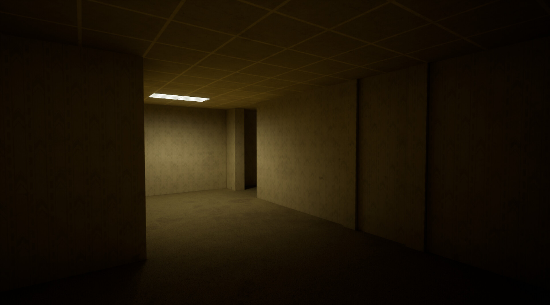 The Backrooms Deluxe screenshot