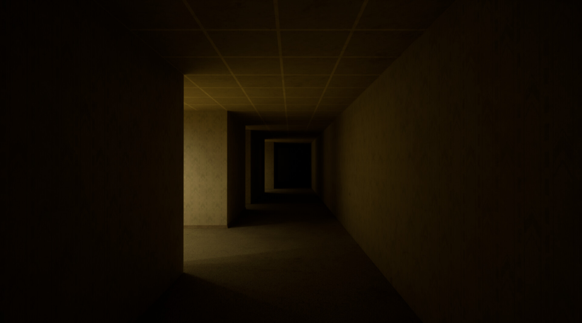 The Backrooms Deluxe screenshot