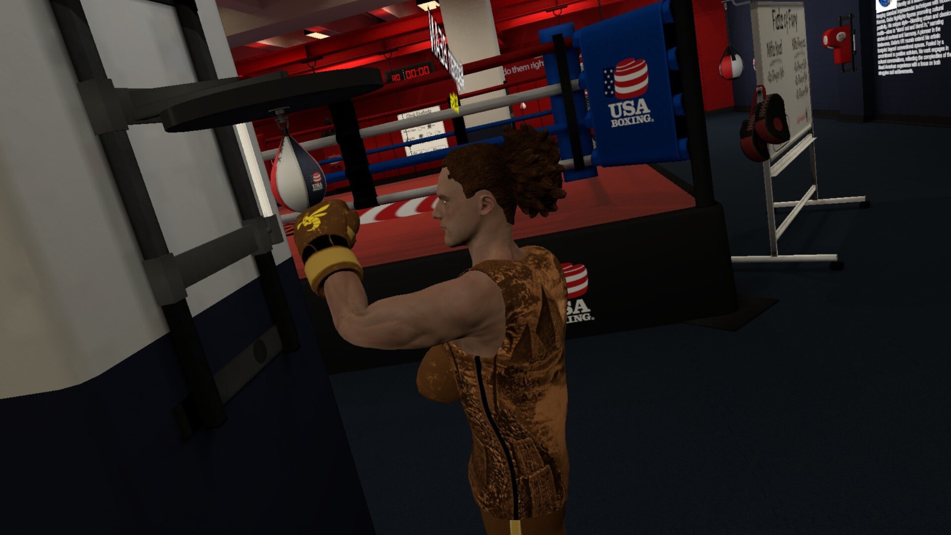 Golden Gloves VR screenshot