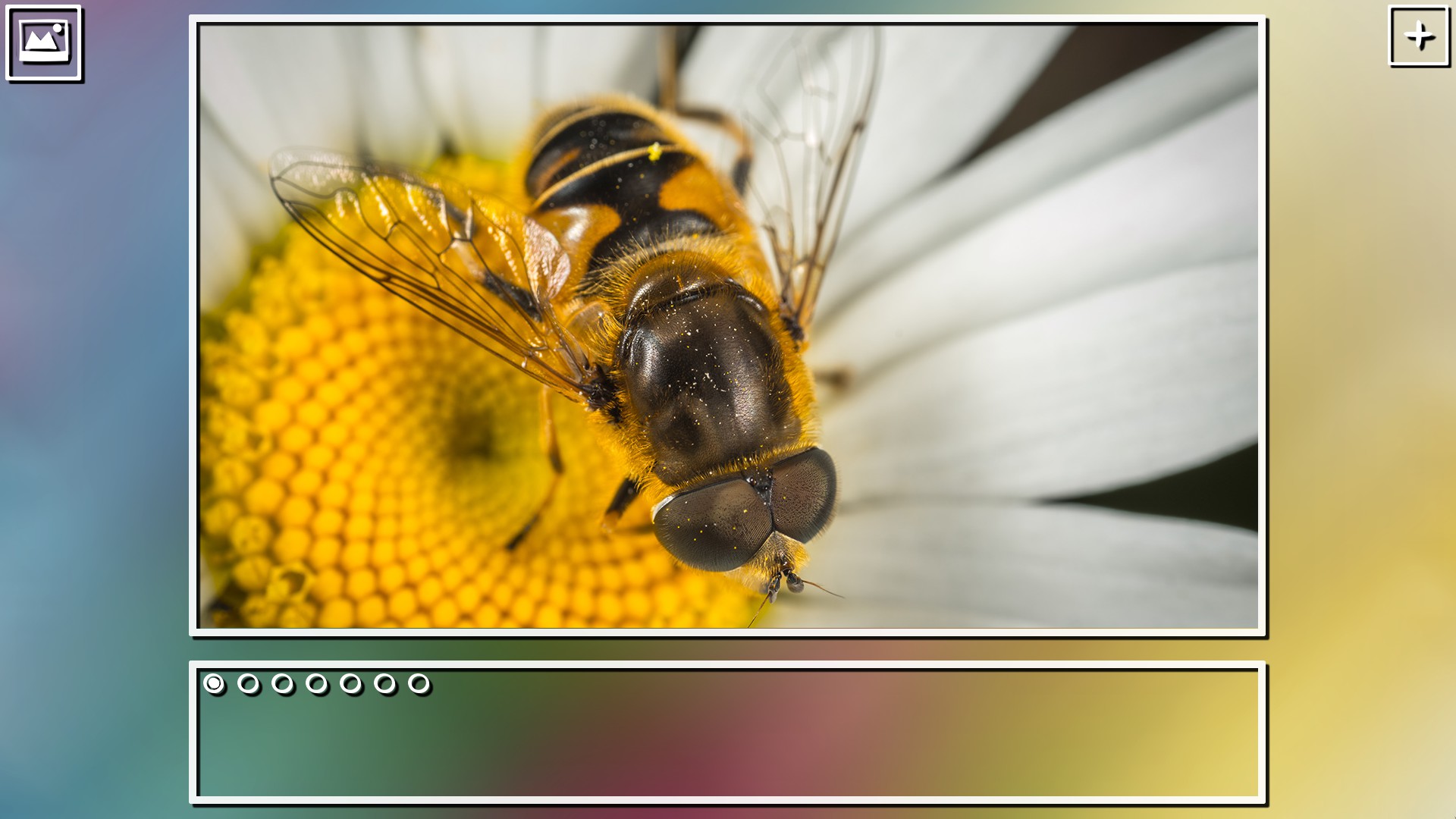 Super Jigsaw Puzzle: Generations screenshot