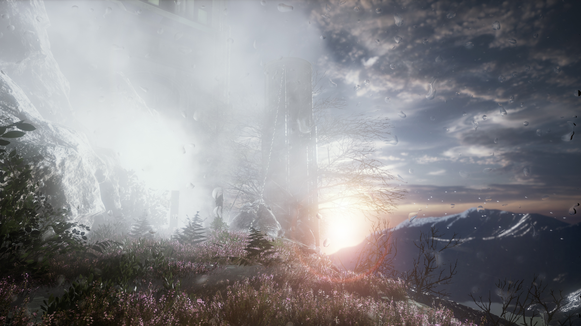The Butterfly Sign screenshot