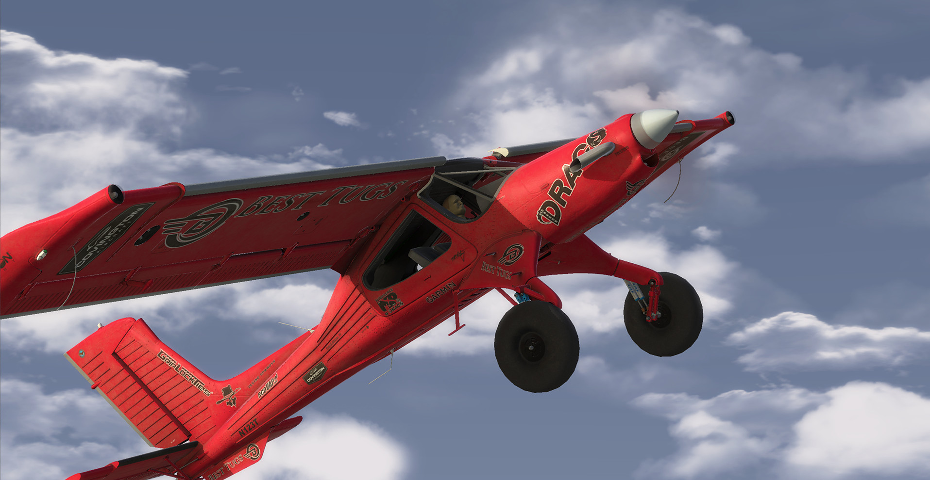 RealFlight 9.5S screenshot