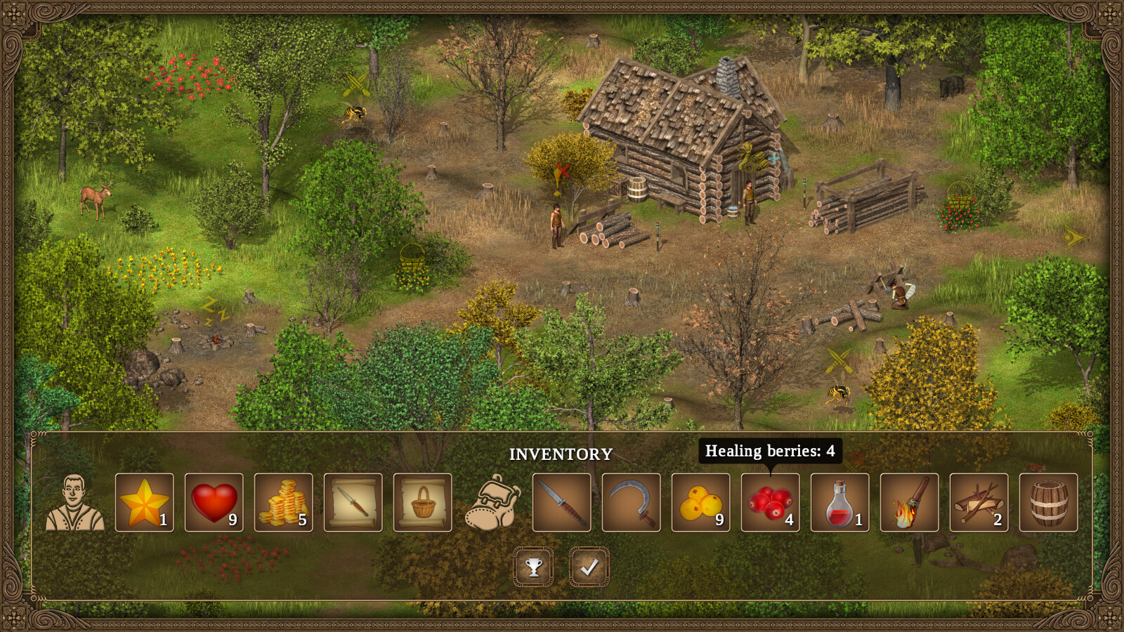 Hero of the Kingdom: The Lost Tales 1 screenshot