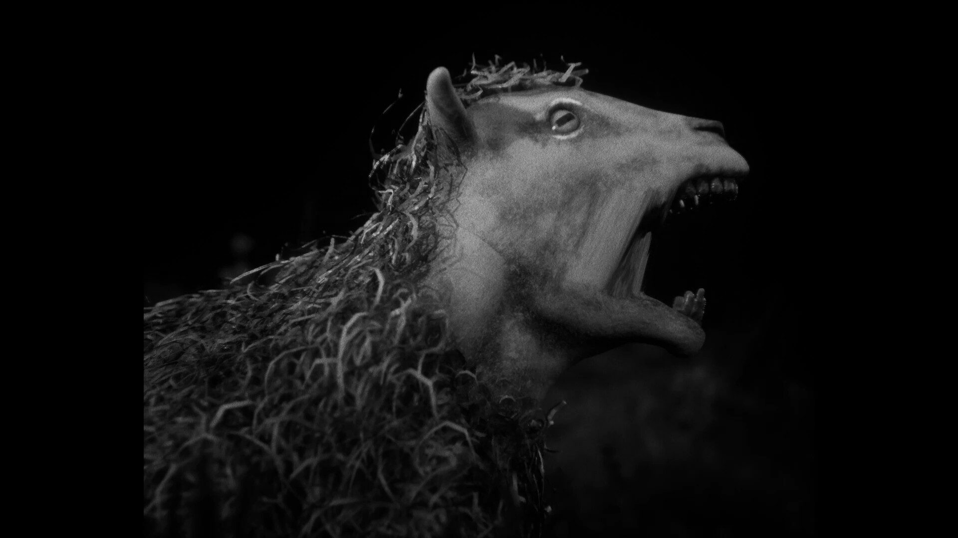 Daemonologie screenshot