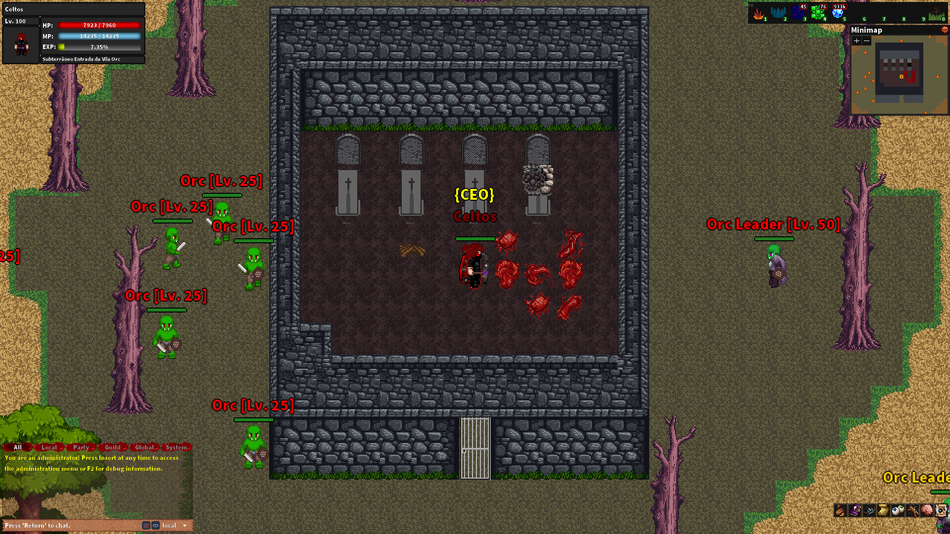 Rebornia - MMORPG 2D screenshot
