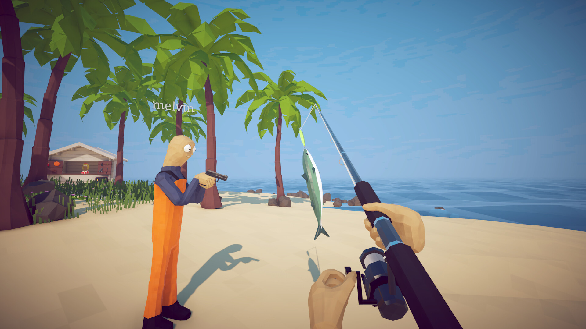 How to Fish screenshot