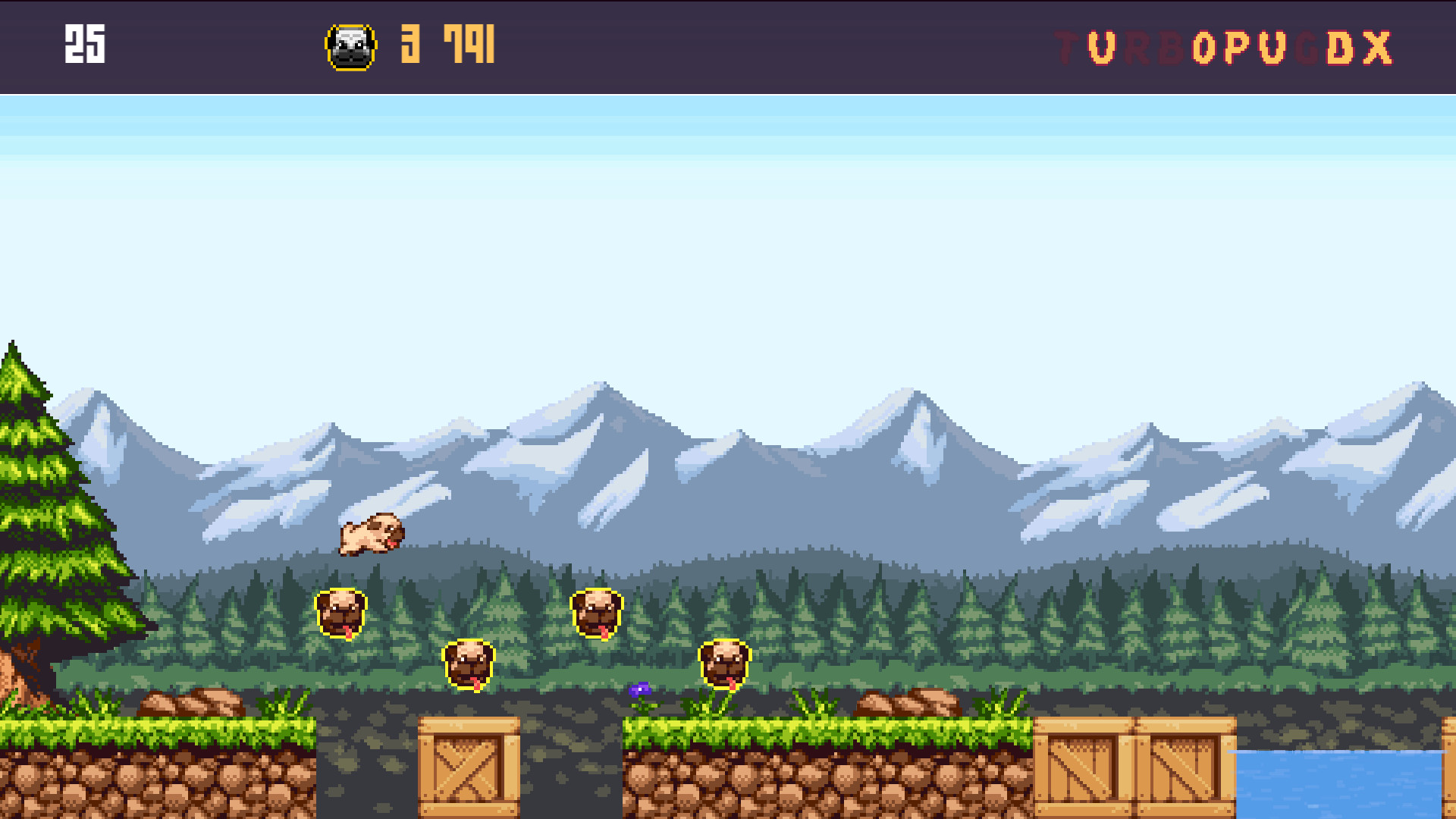 Turbo Pug DX screenshot