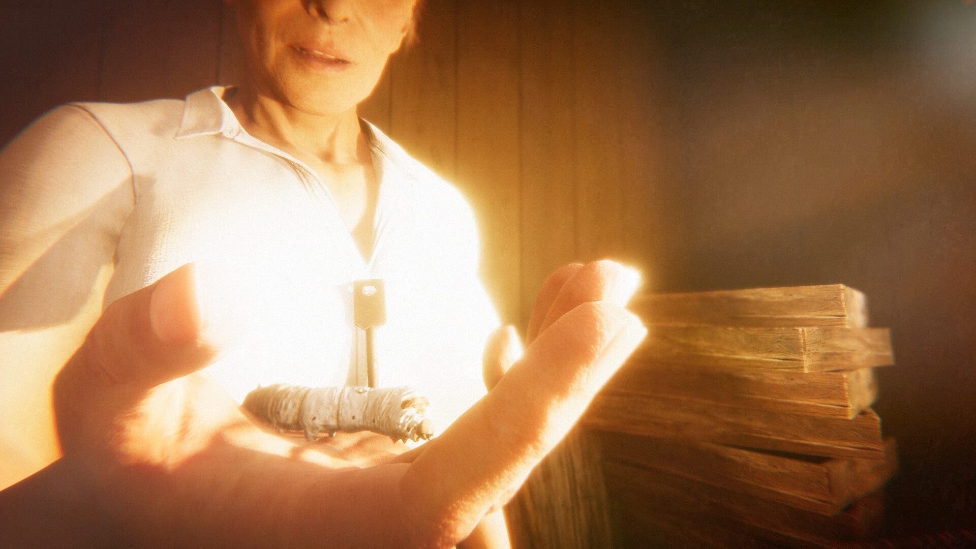 Hollow Cocoon screenshot