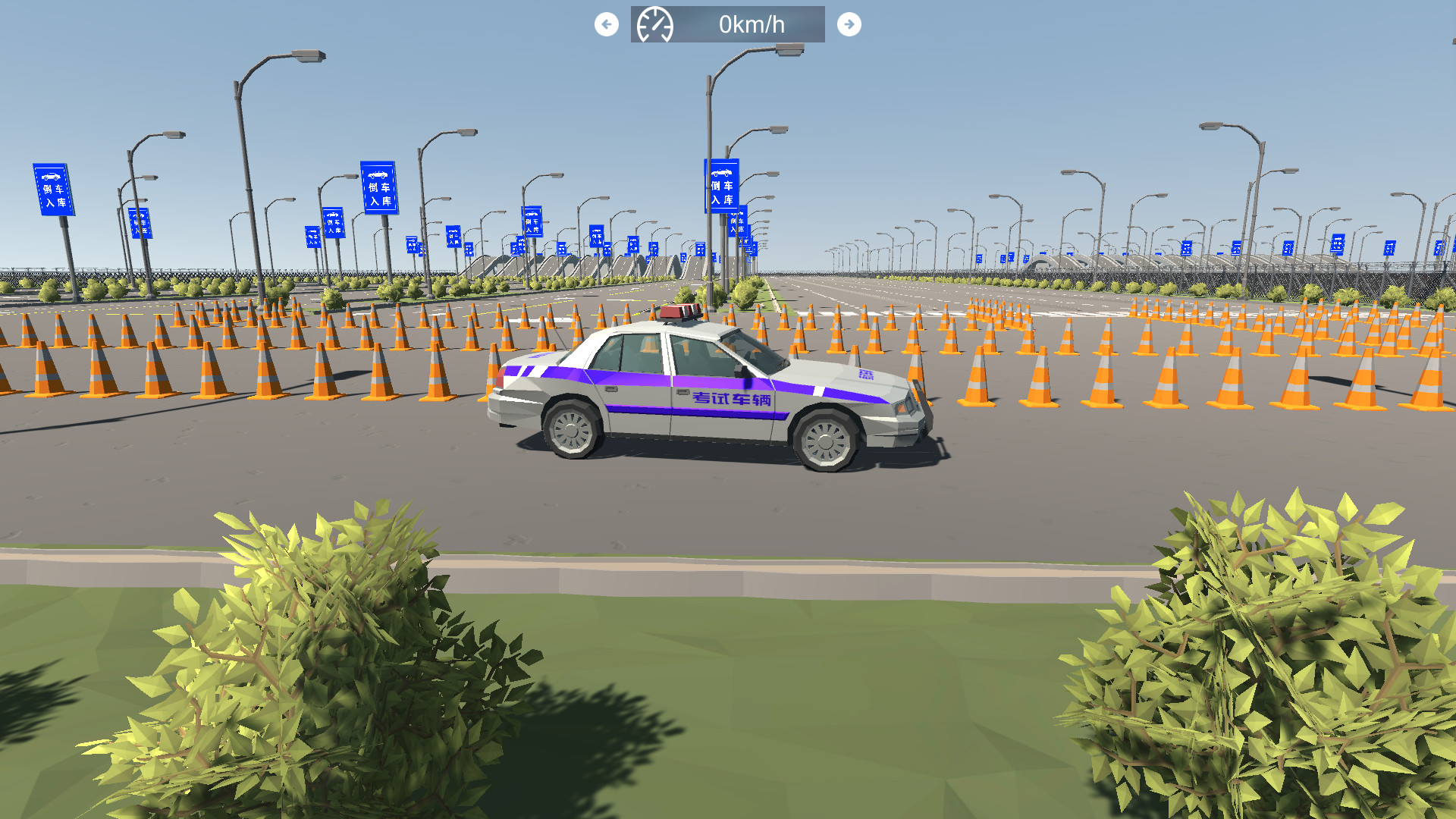 Chinese Driving Test Simulator screenshot