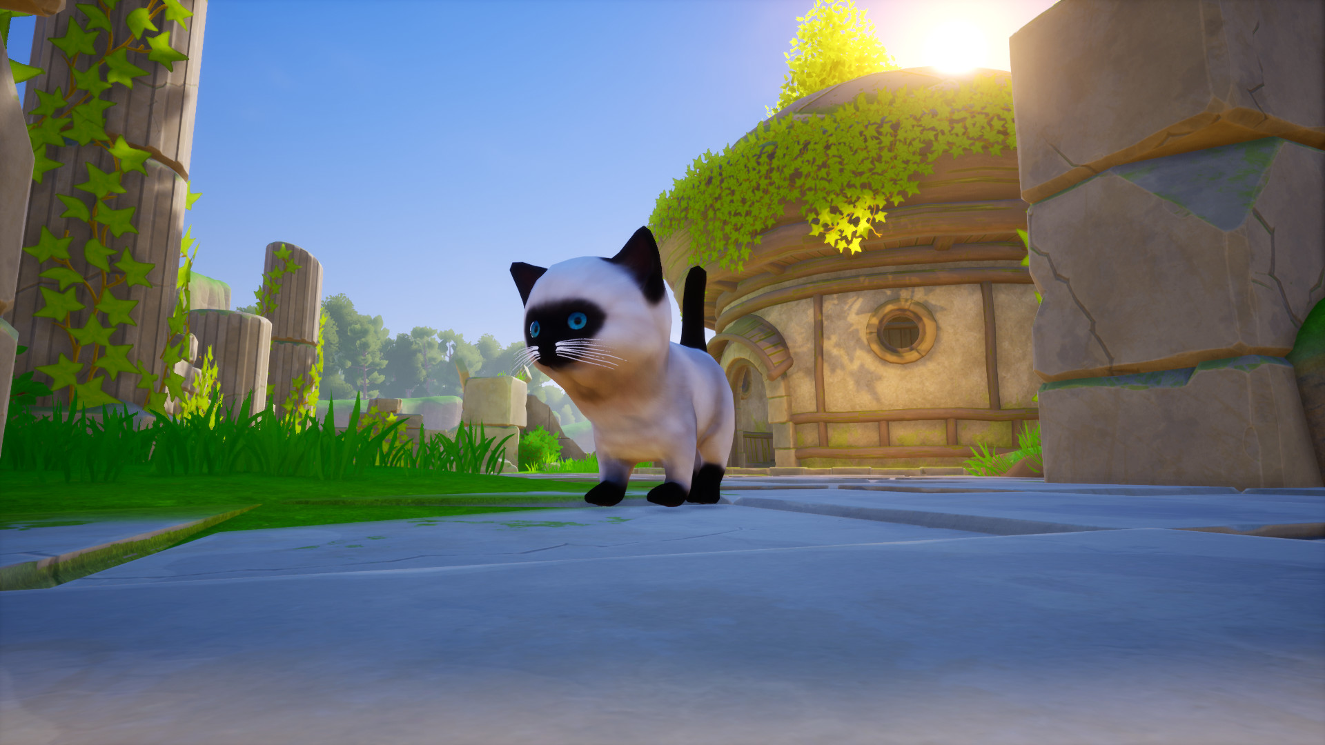 Cat Go! Ultimate Challenge screenshot