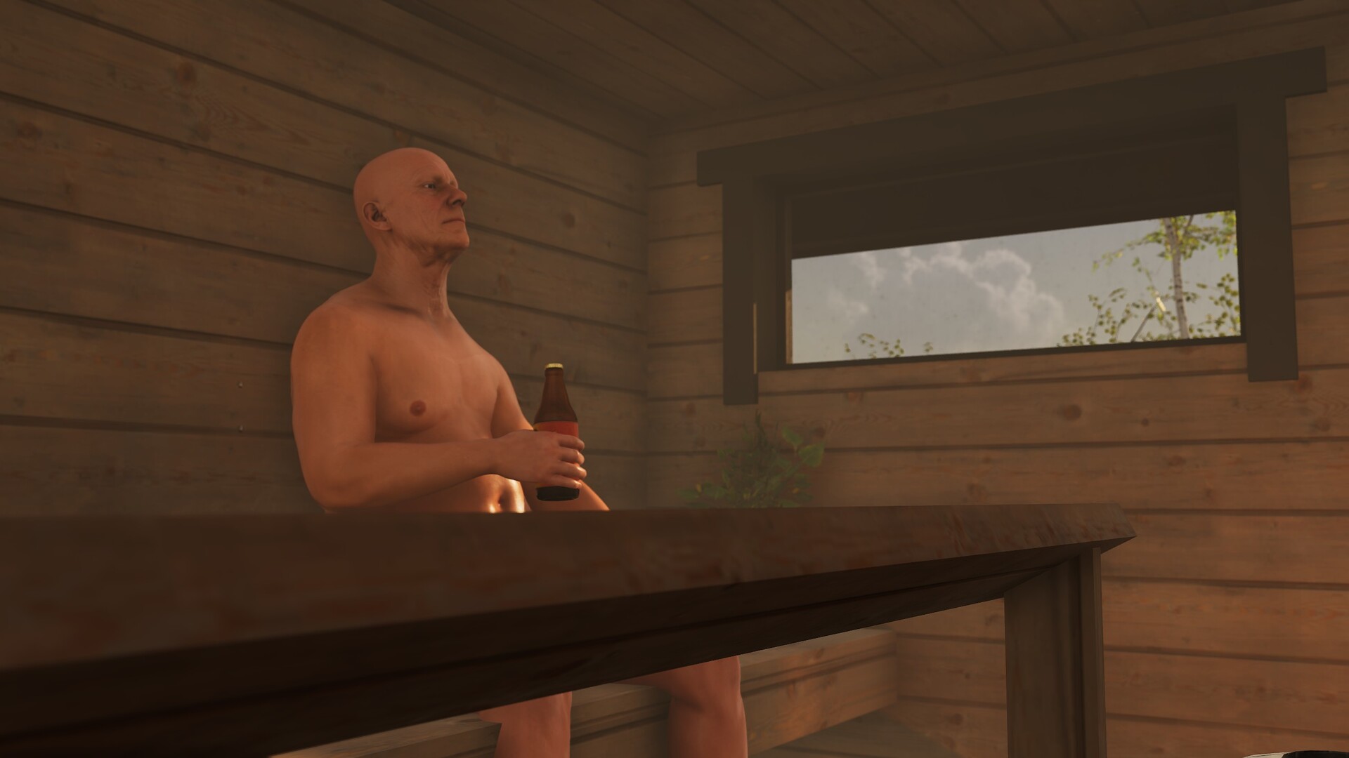 Finnish Cottage Simulator screenshot