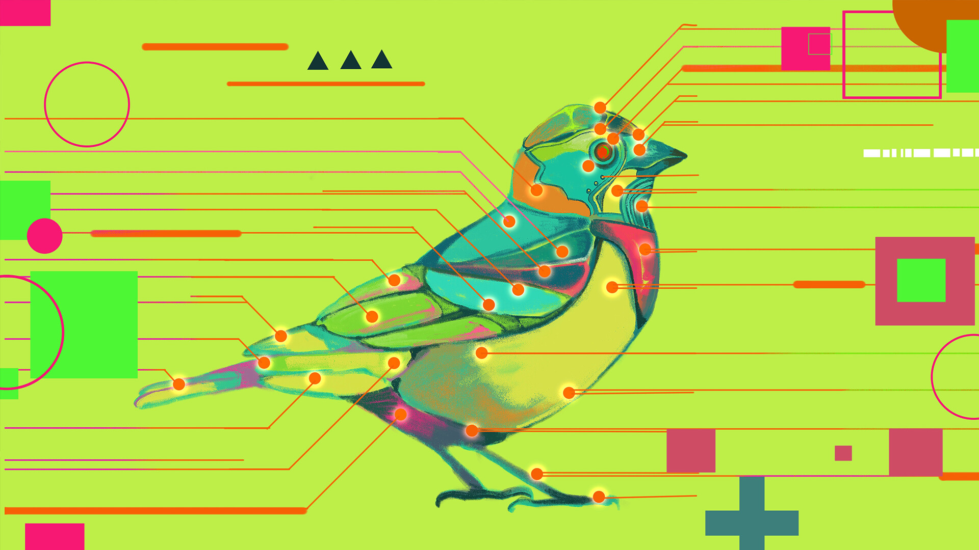 Avian Enigma screenshot