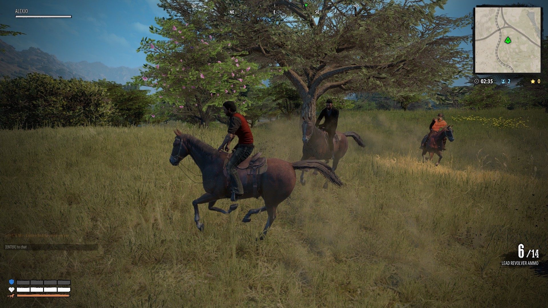 Magnificent 5 screenshot