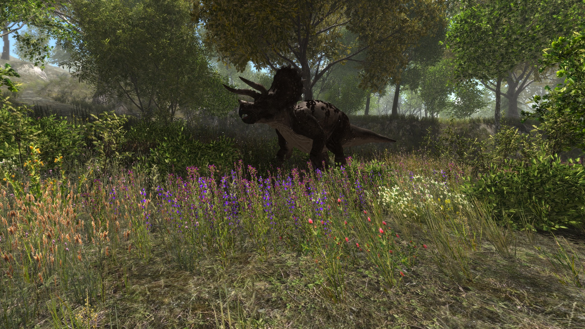 Dinosaur Forest screenshot