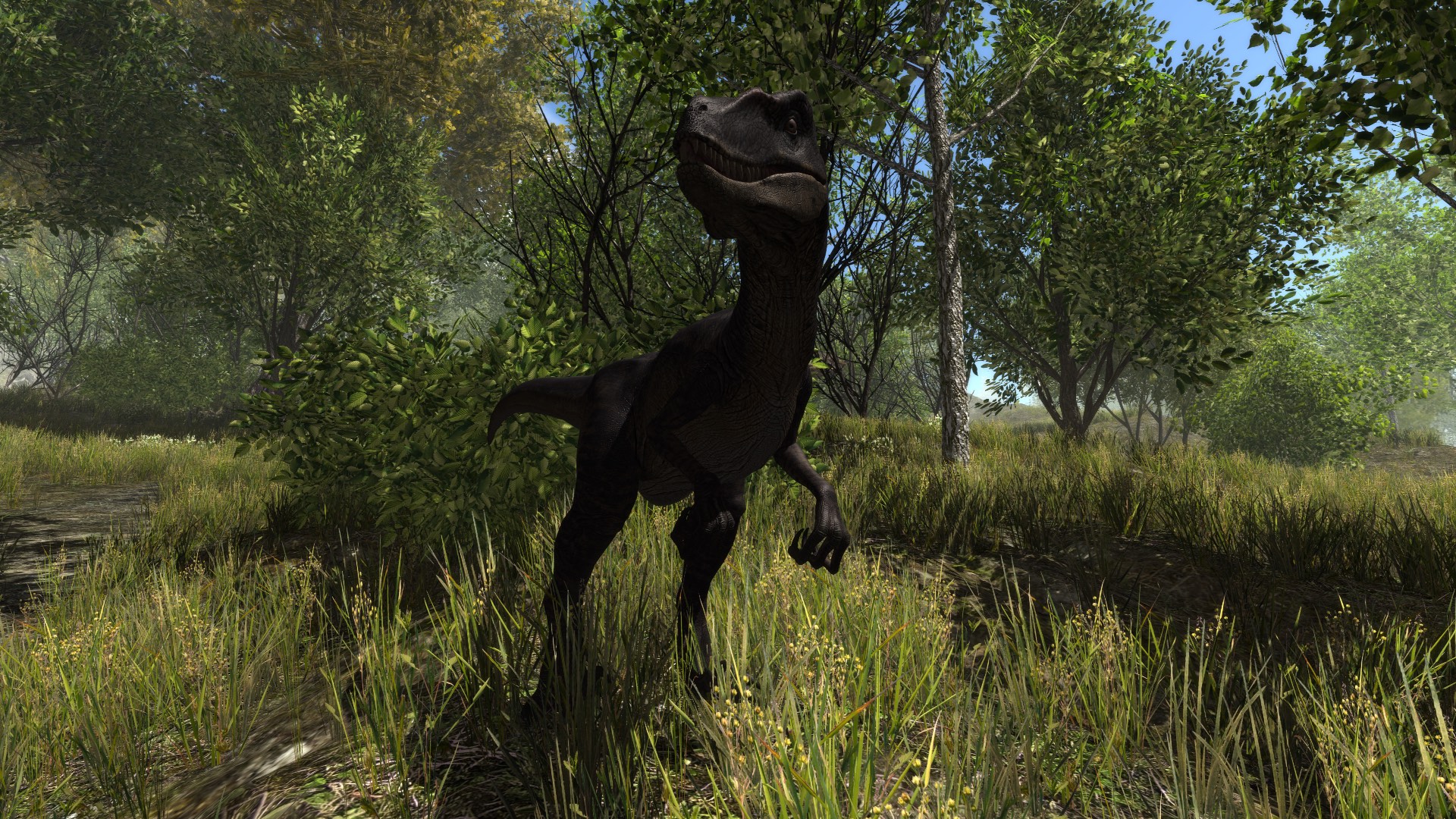 Dinosaur Forest screenshot