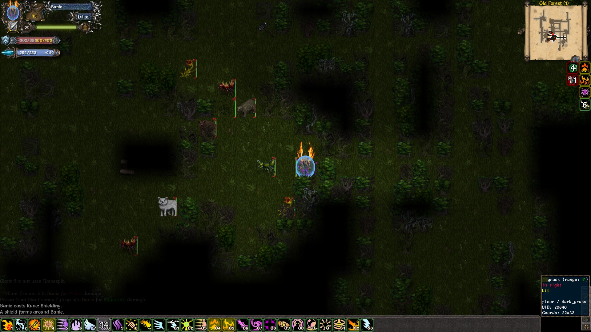 Tales of Maj'Eyal screenshot