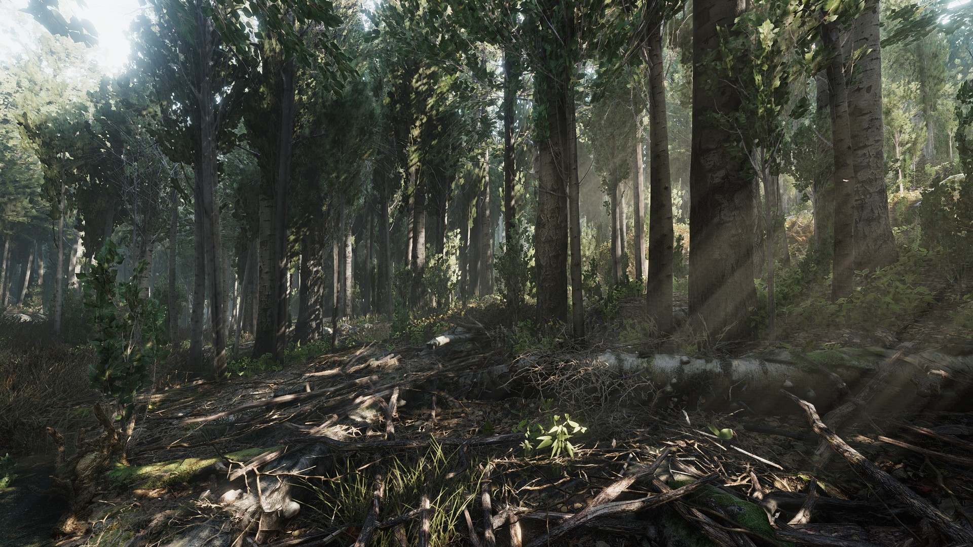 Heat screenshot