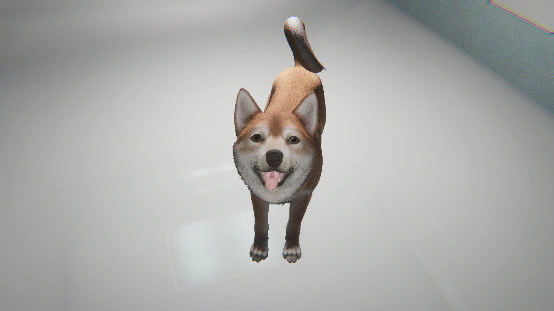 Like a dog screenshot