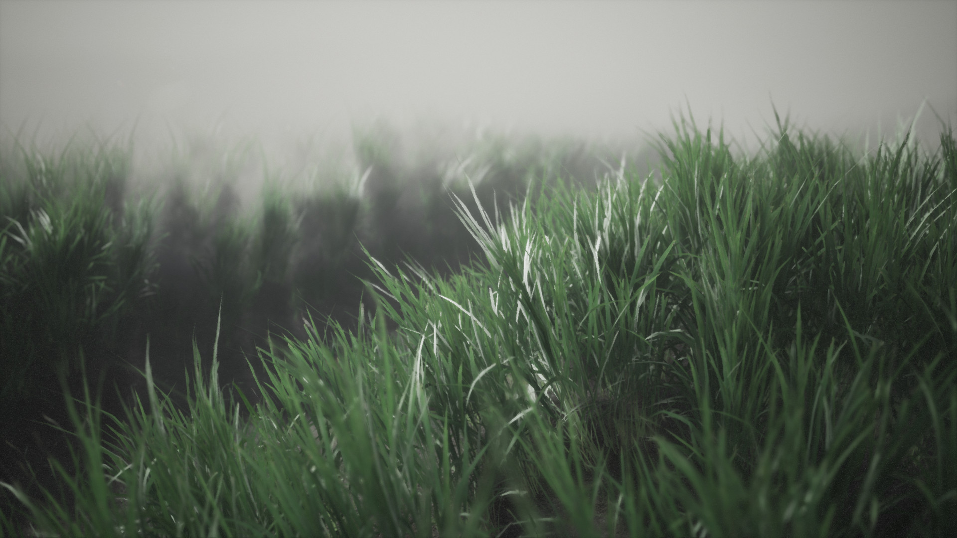 Mýrdalssandur, Iceland screenshot