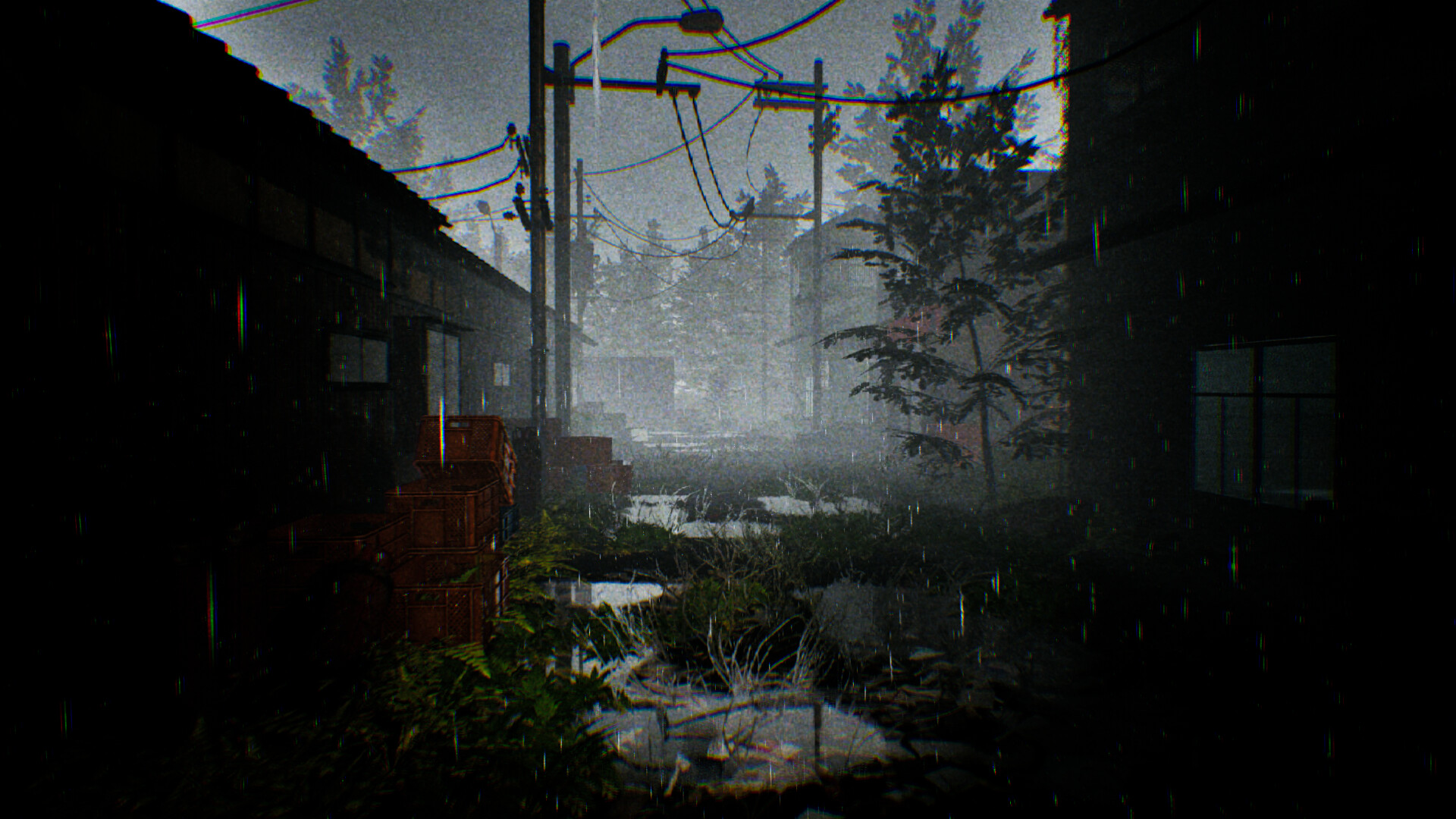 TARO IS BACK screenshot
