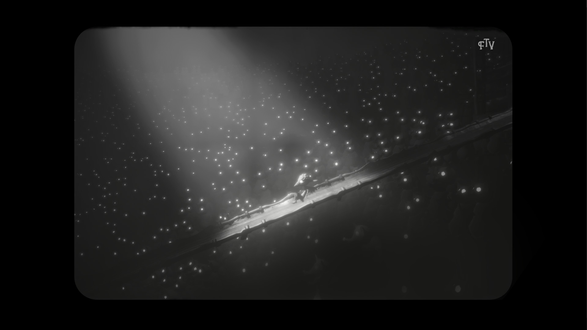 White Shadows screenshot